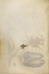 Trompe-lOeil Haste de uma cruz maltesa